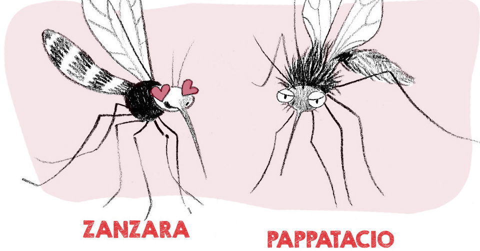 FILARIA AND LEISHMANIA