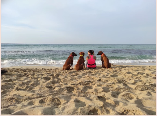 SUMMERR EDITION 2020