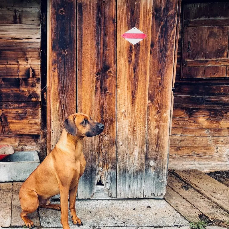 HLUHLUWE DAYO JELIEL