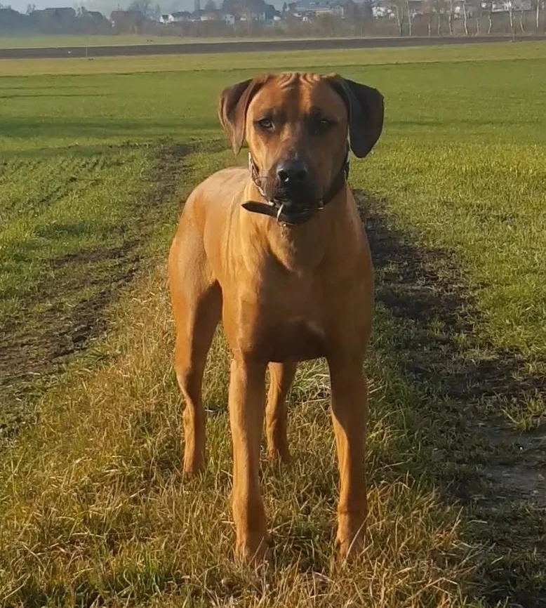 HLUHLUWE ELINDIWE SEHEIAH