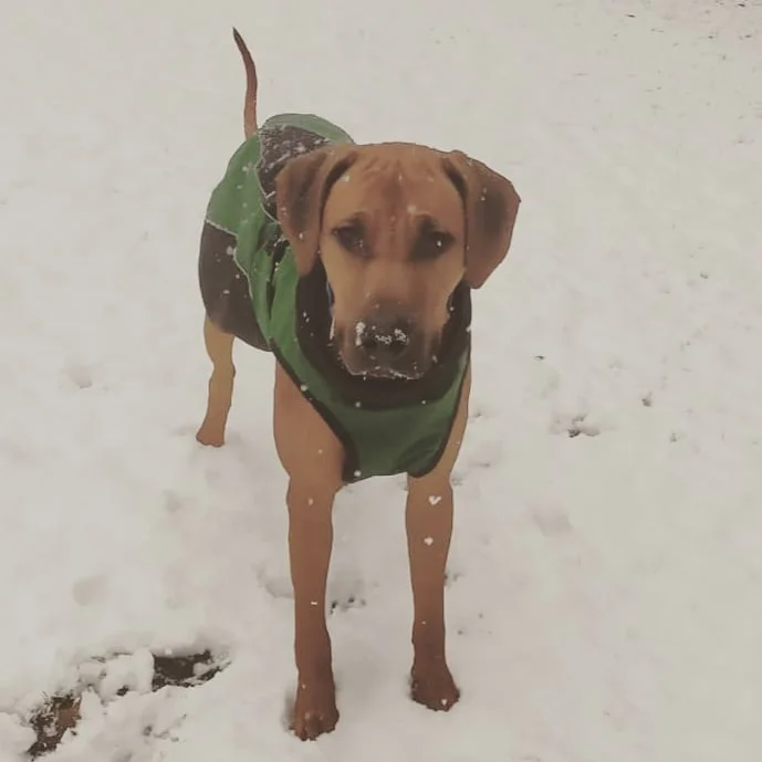 HLUHLUWE EAN HAIAYEL