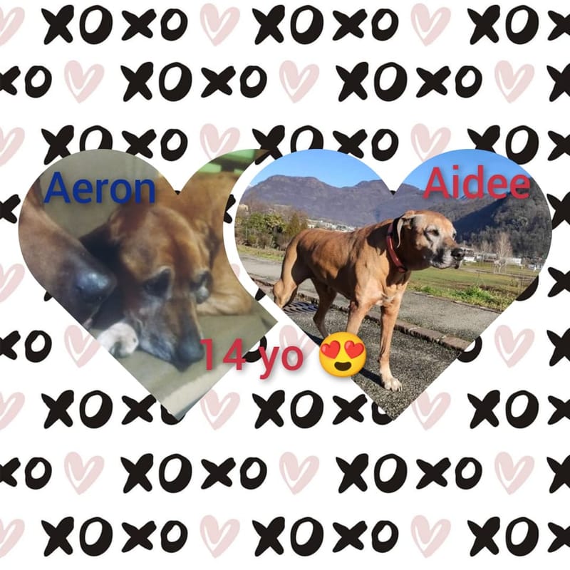 14 YEARS! AIDEE & AERON