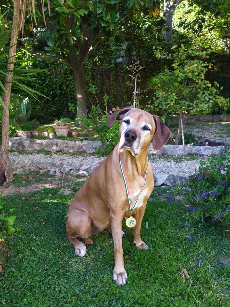 SUPER RESULT OF ALIKA AND ELIZABETH IN RALLY-O!