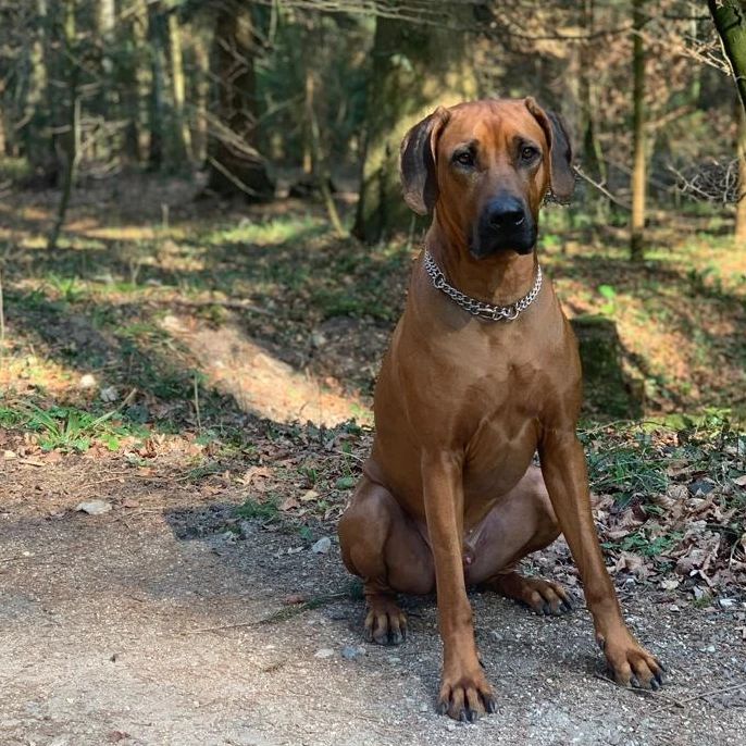 HLUHLUWE EYTAN YECABEL