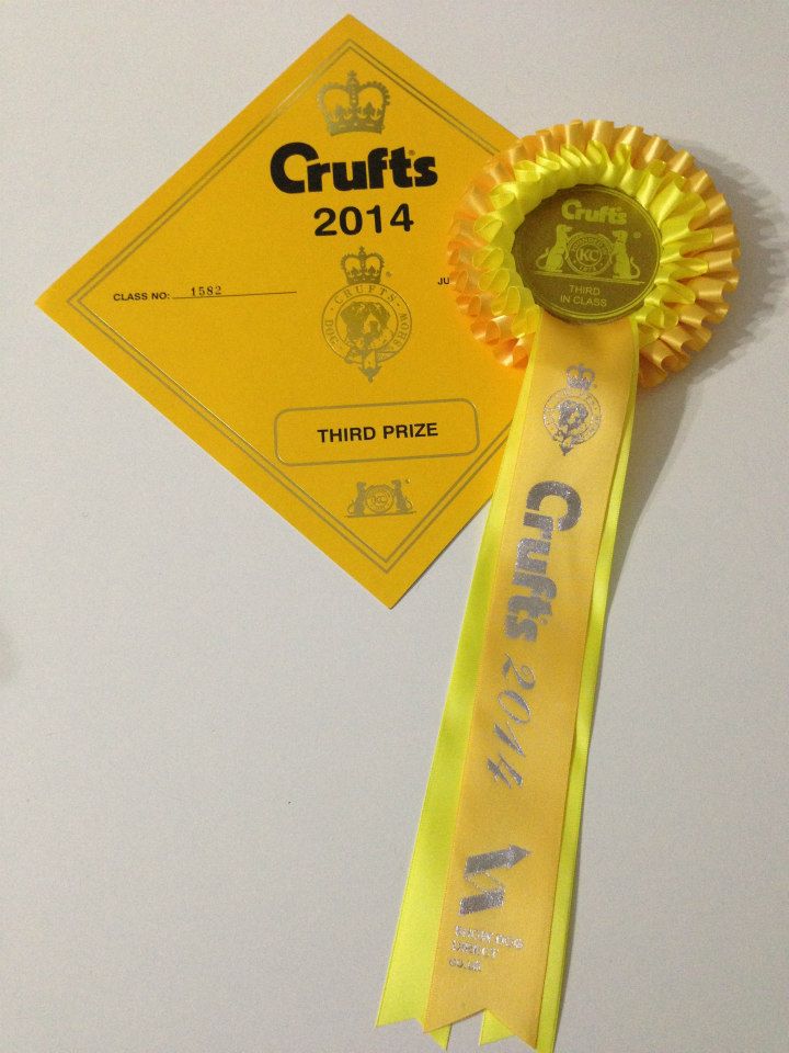 CRUFTS MEMORIES