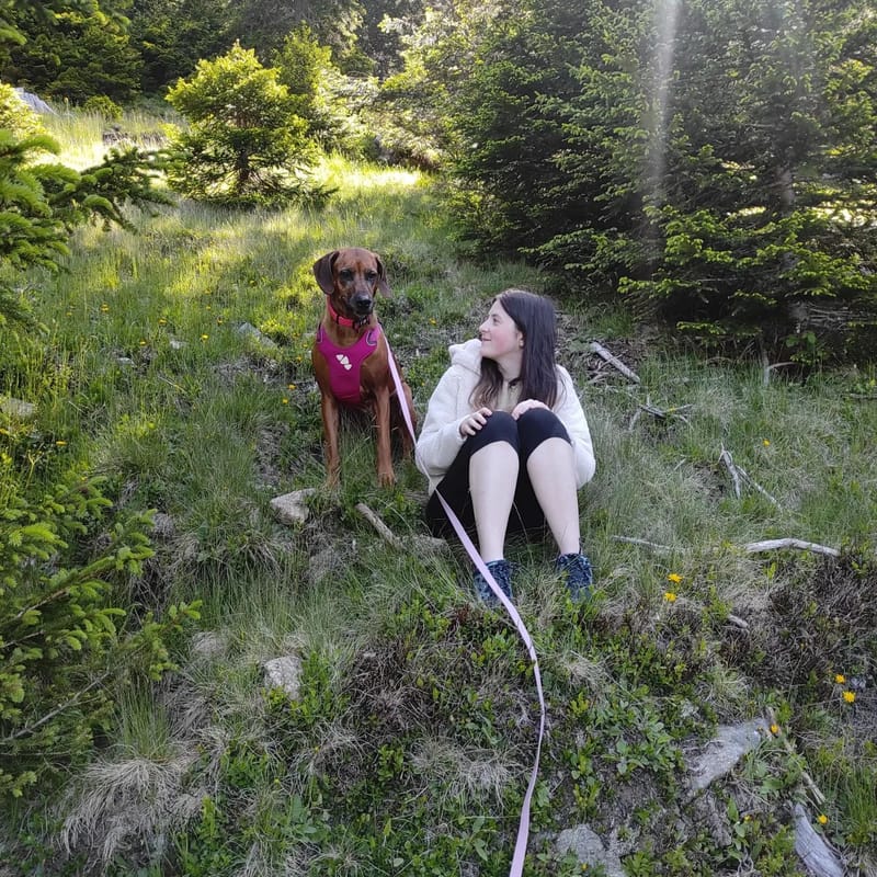 OUR BELOVED MOUNTAINS