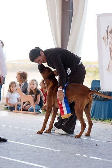 Memories from Clubshow 2010