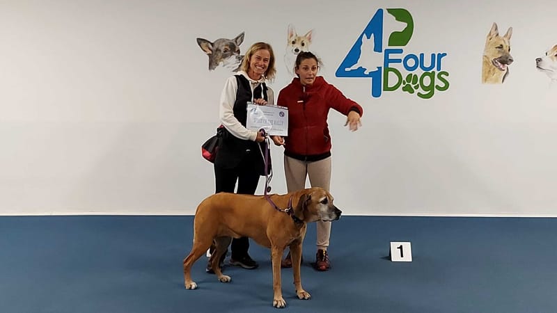 Alika and the Rally-O