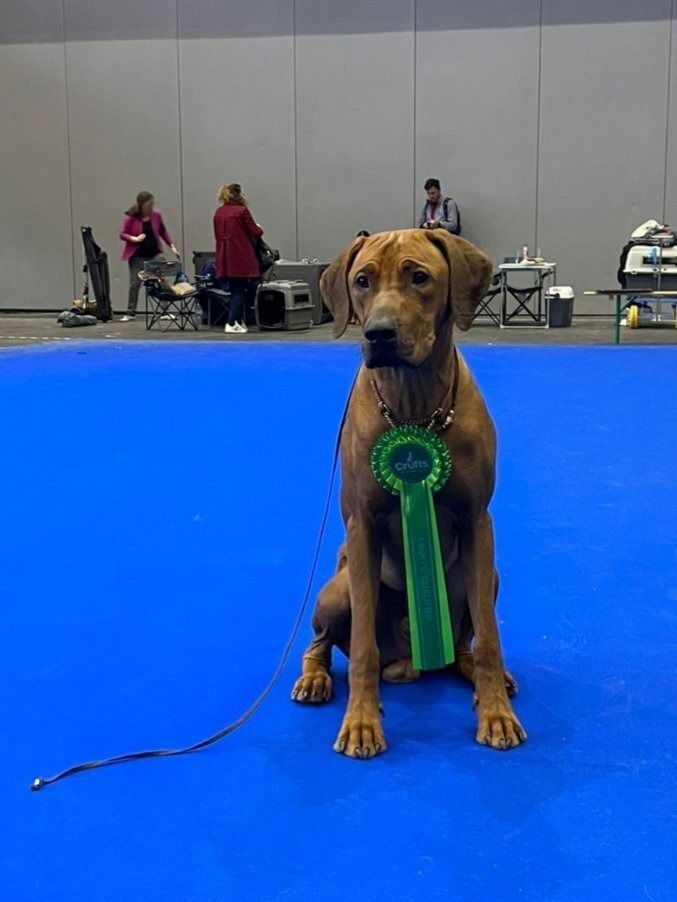 Triple CACIB Geneva 2022