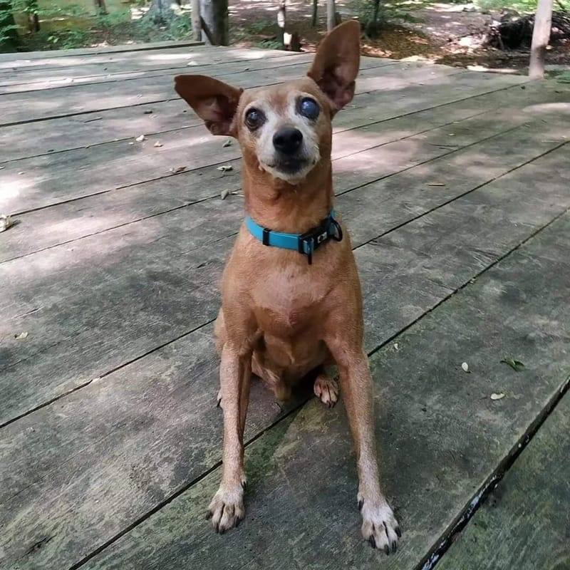 And today they would have been 19, dear Tomino