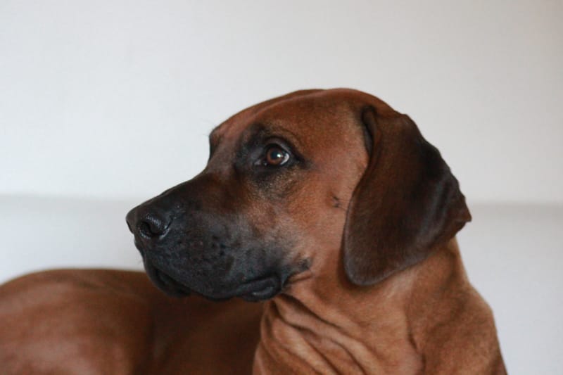 BEST CHRISTMAS GIFT!