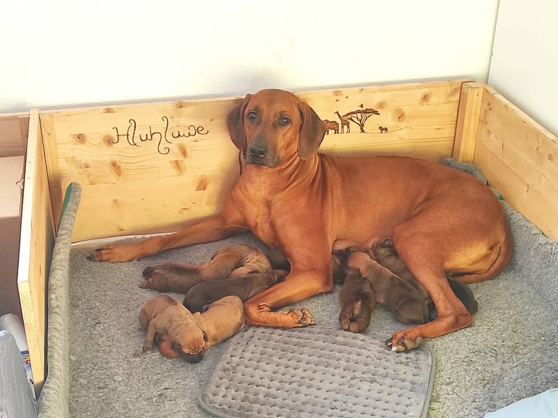 HAPPY BIRRTHDAY G LITTER!!