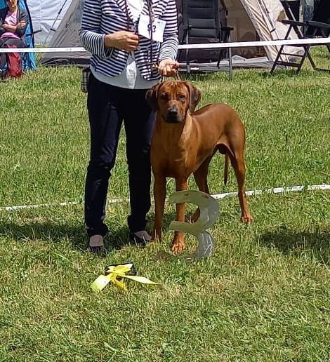 DOUBLE CAC FEHRALTORF (CH)