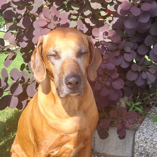 A BIG HAPPY BIRTHDAY TO THE B LITTER