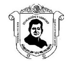 ESCUELA PRIMARIA "FELIPE CARRILLO PUERTO"