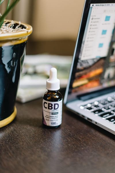 CBD for Horses image