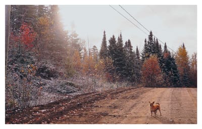 Cher journal, mon ex était un enfant