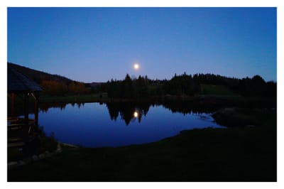 Cher Journal, le monde dit que je suis méchante