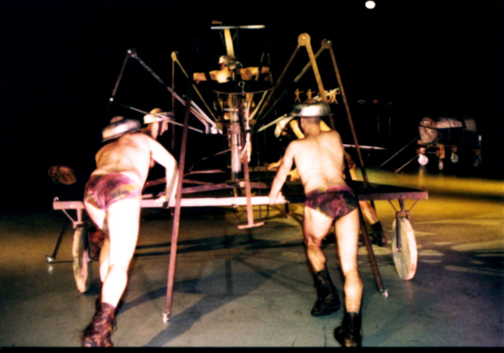                                                                      זיבובו  ZIBUBU