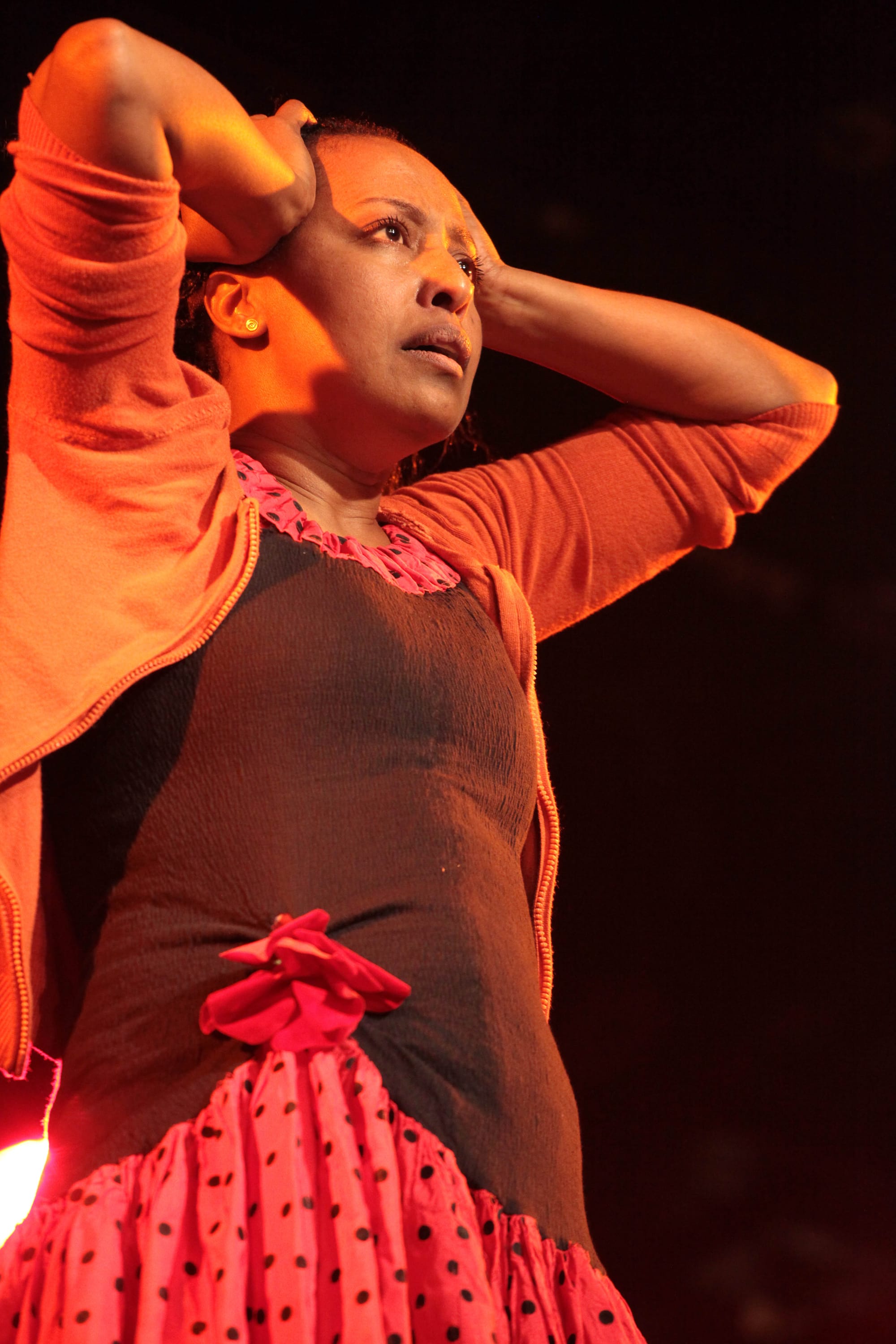                                                     הבית של מתוקו  Metuko's House