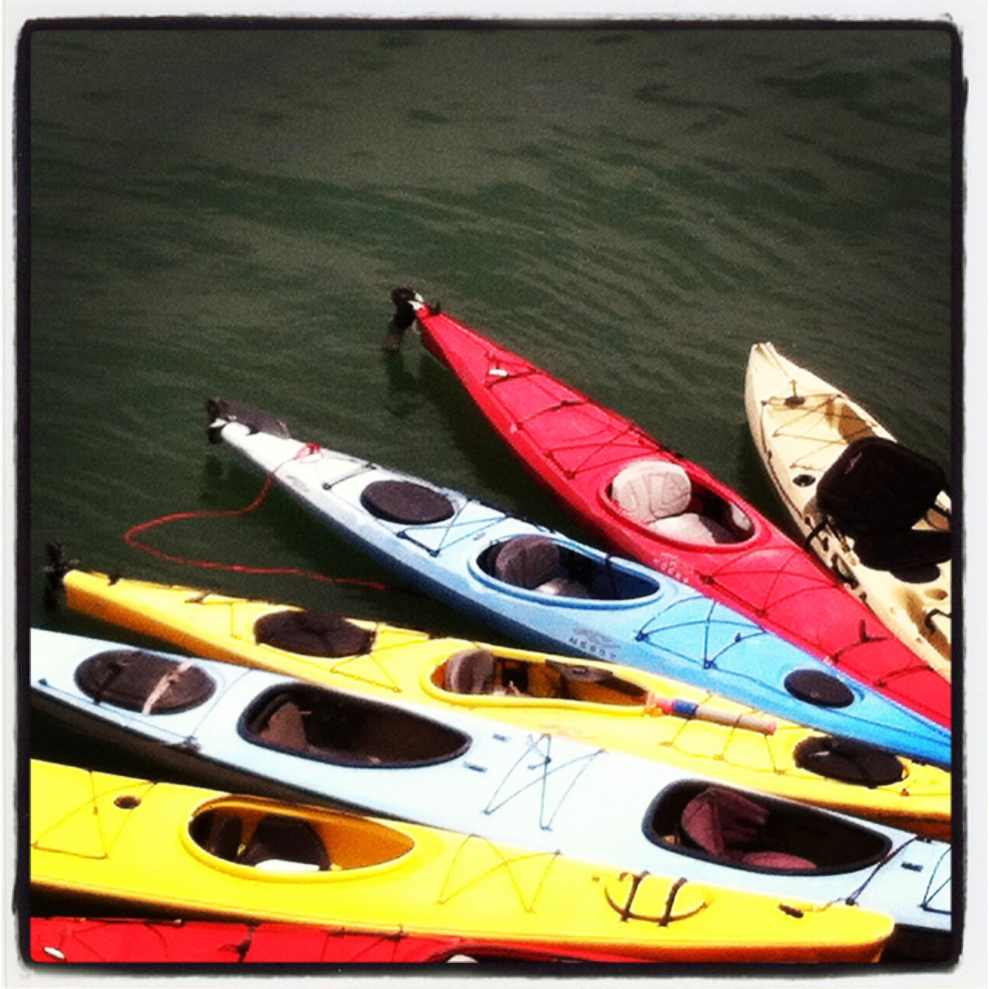 Kayaks