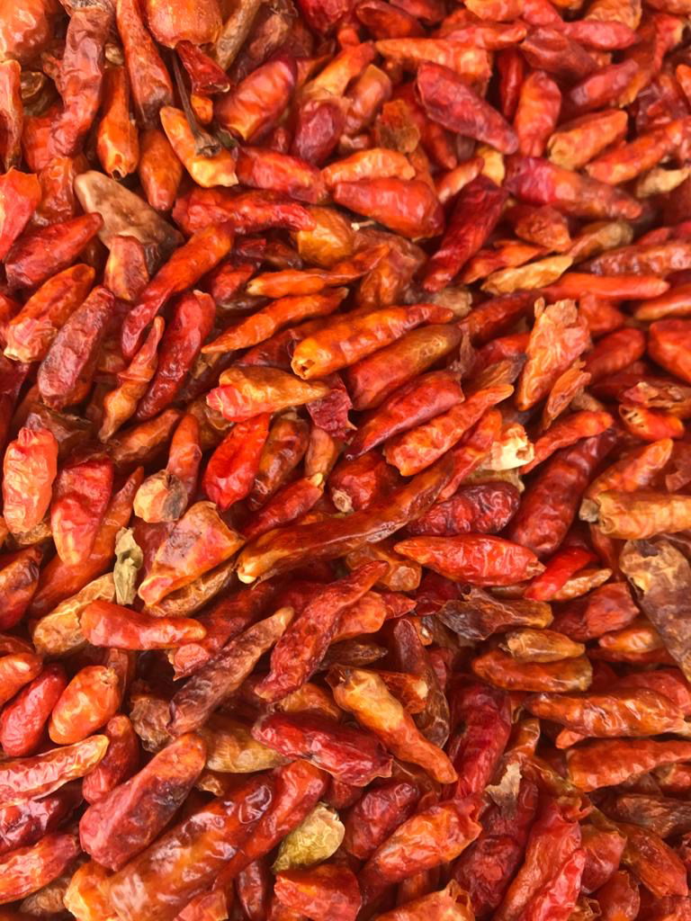 BIRD EYE CHILLI ( DRY)