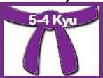 Information for Purple Belts - 5th & 4th Kyus