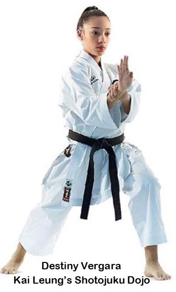 Degrees in karate best sale