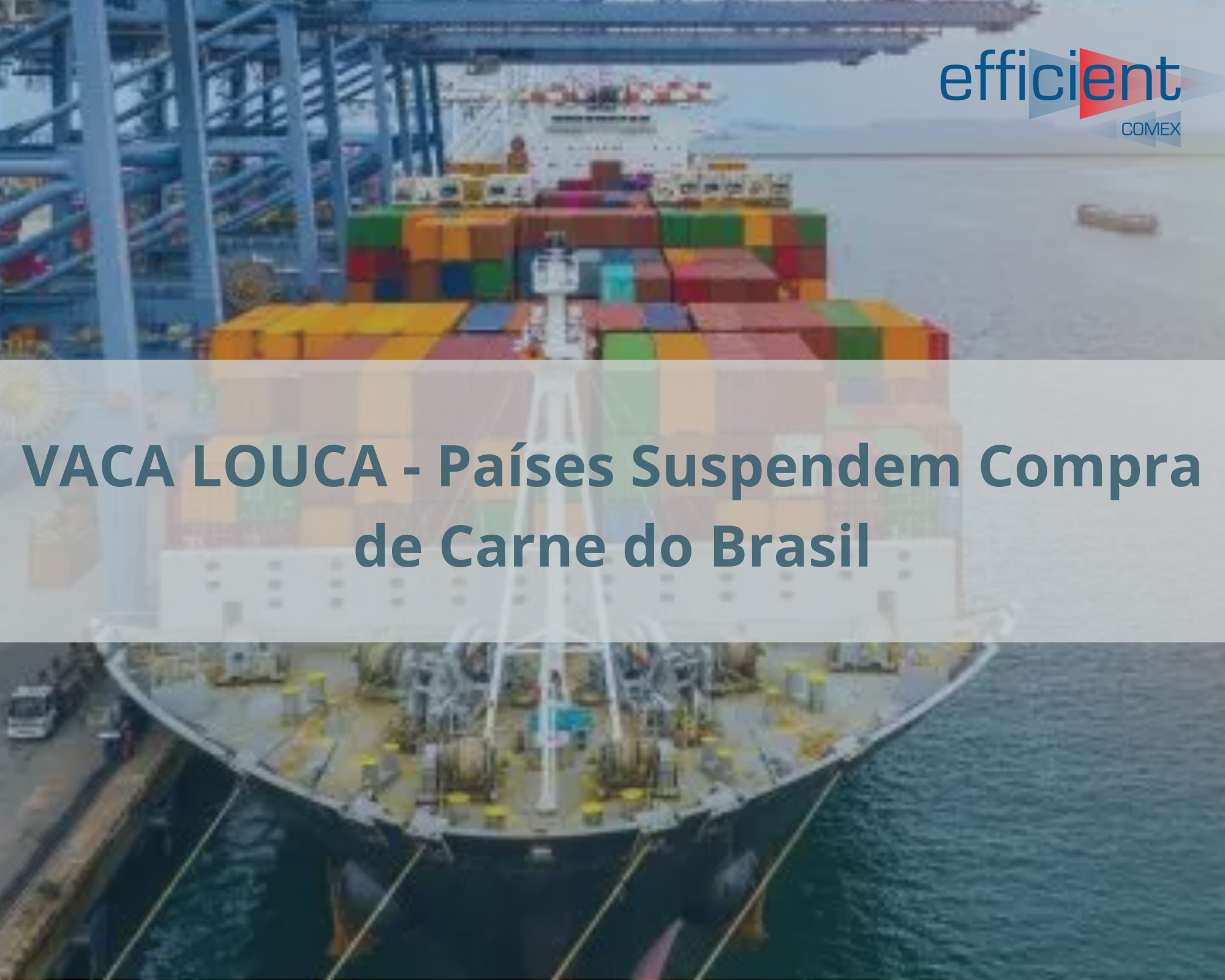 VACA LOUCA - Países Suspendem Compra de Carne do Brasil