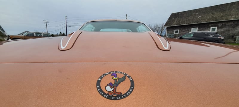 1973 Plymouth Roadrunner (In Progress) 