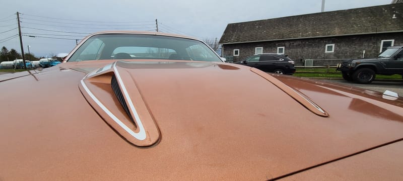 1973 Plymouth Roadrunner (In Progress) 
