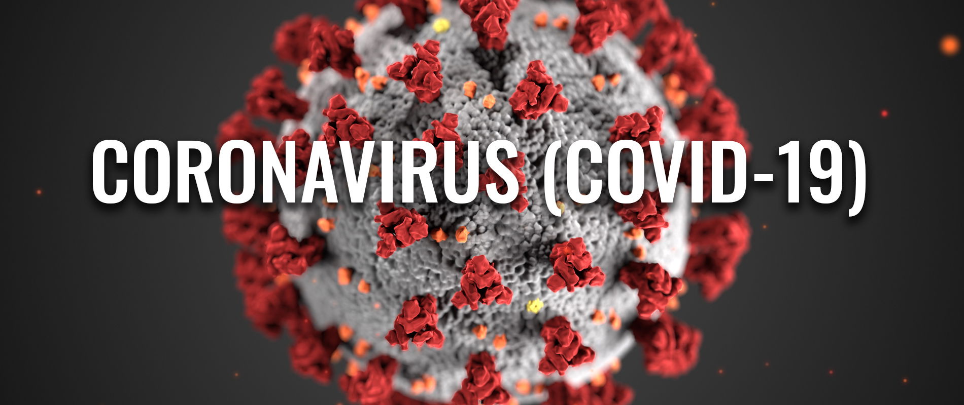 COVID-19 Response