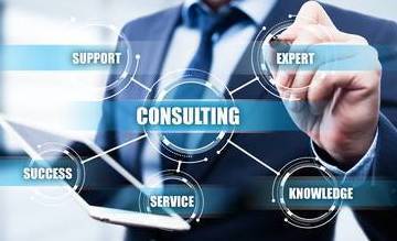 PROGRAM CONSULTANTS