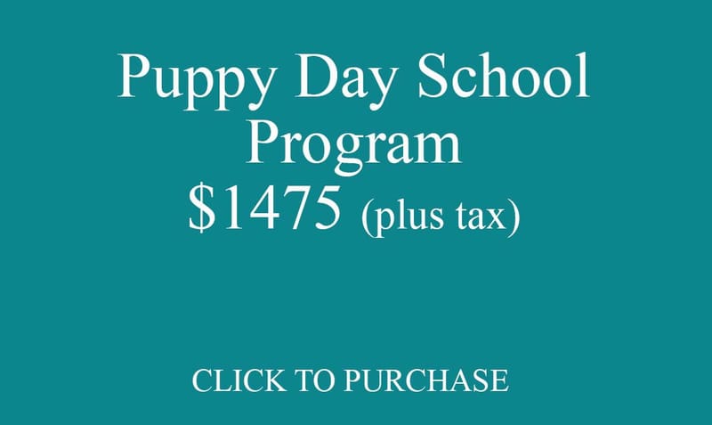 Puppy Academy Program