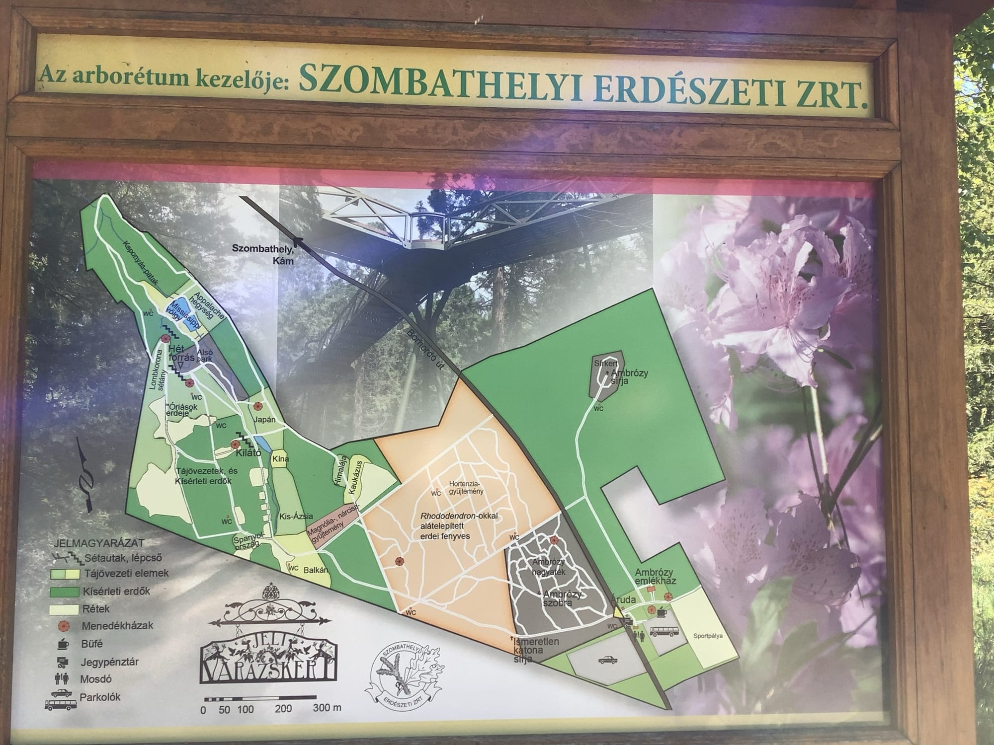 Melléklet 1. Szombathely - Jeli Arborétum útvonala (87-es 31km, 31 perc; 86-os 40,2 km, 37 perc)