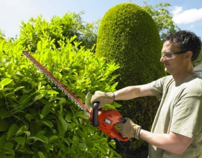 قسم إزالة الاشجار وتزيينها بالطائف  image