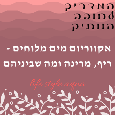 אקווריום מים מלוחים - ריף, מרינה ומה שביניהם