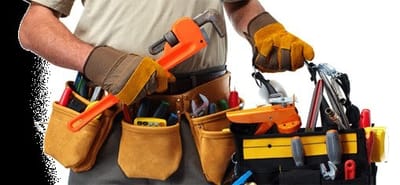 شركة النورس الذهبى في المدينة المنورة وينبع