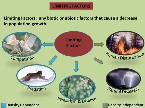 Limiting Factors