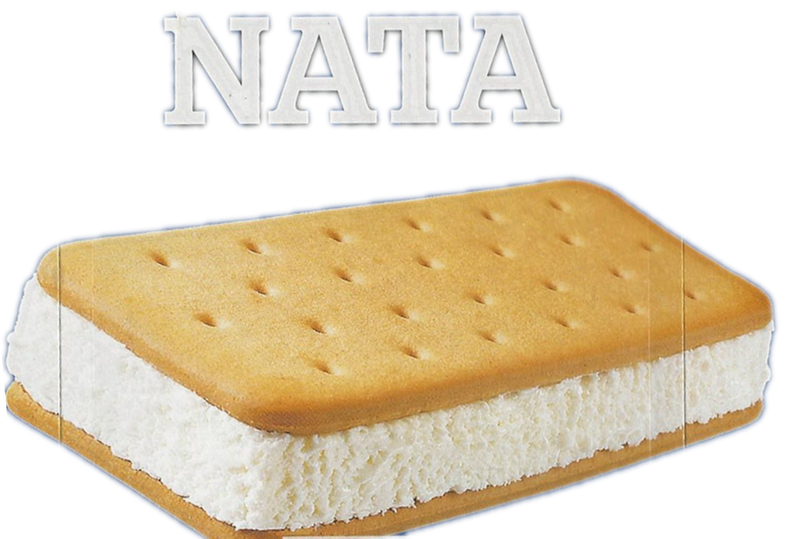 HELADO NATA