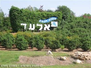 אלעד