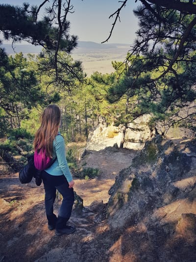 Virágültetéssel és túrázással a természetvédelemért