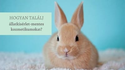 Hogyan találj állatkísérlet-mentes kozmetikumokat?
