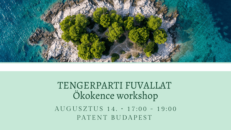 Tengerparti fuvallat ökokence workshop