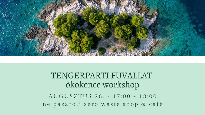 Tengerparti fuvallat ökokence workshop