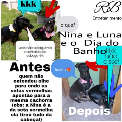Turma da Nina e Luna image