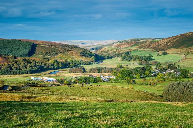 Alwinton Border Sheperds Show