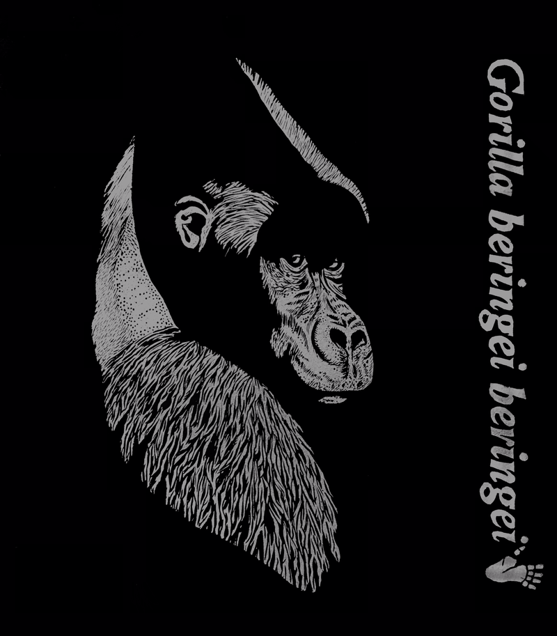 Endless Forms, Most Beautiful