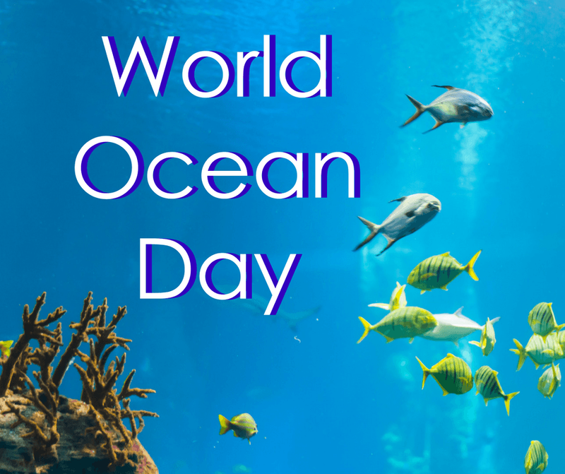 World Oceans Day
