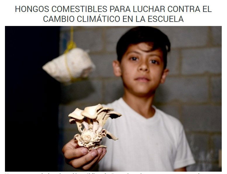 Grupo Orellanas